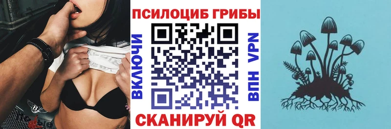 Галлюциногенные грибы MAGIC MUSHROOMS Грязи