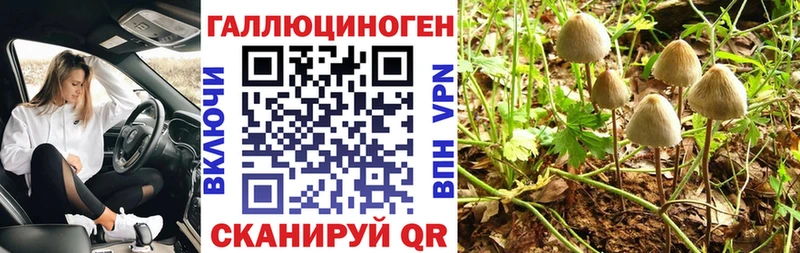 Псилоцибиновые грибы Cubensis  Грязи 