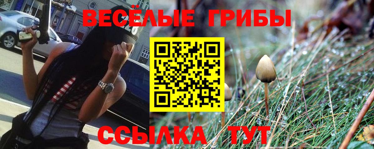 Псилоцибиновые грибы GOLDEN TEACHER  Галлюциногенные грибы мухоморы  Грязи 