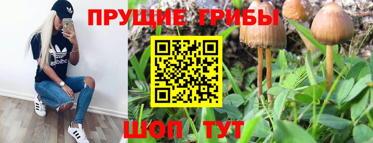 Псилоцибиновые грибы прущие грибы Грязи