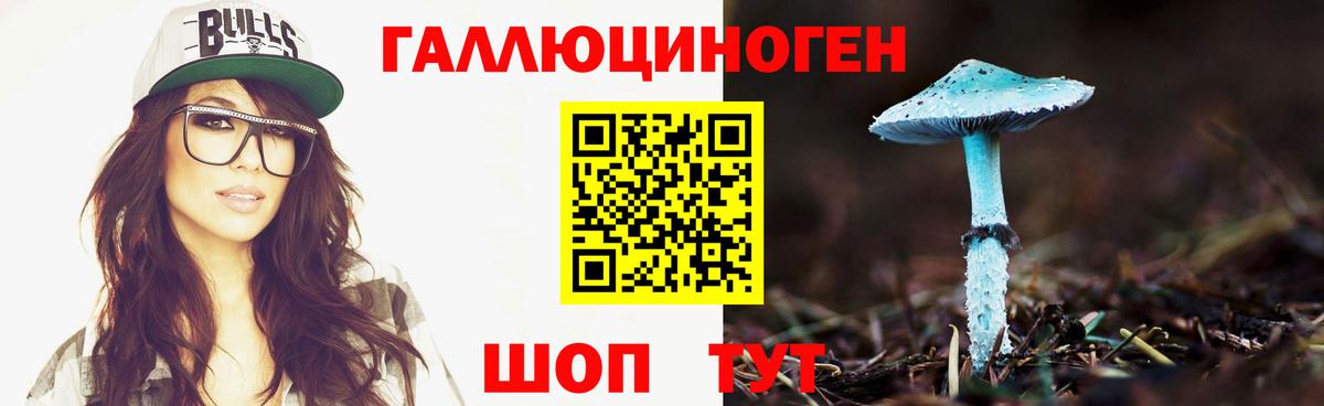 Грязи  Псилоцибиновые грибы Psilocybe  купить  сайты  Вход с VPN 